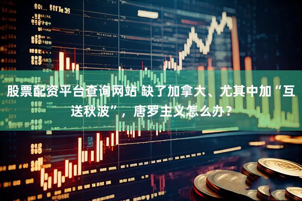 股票配资平台查询网站 缺了加拿大、尤其中加“互送秋波”，唐罗主义怎么办？