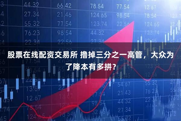 股票在线配资交易所 撸掉三分之一高管，大众为了降本有多拼？